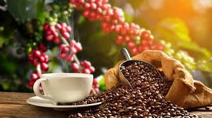 Oaxaca Organic Coffee - Ground Beans / Granos de Cafe Molidos